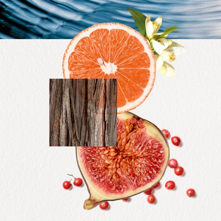 OMIZU for HIM - Parfum Annayake