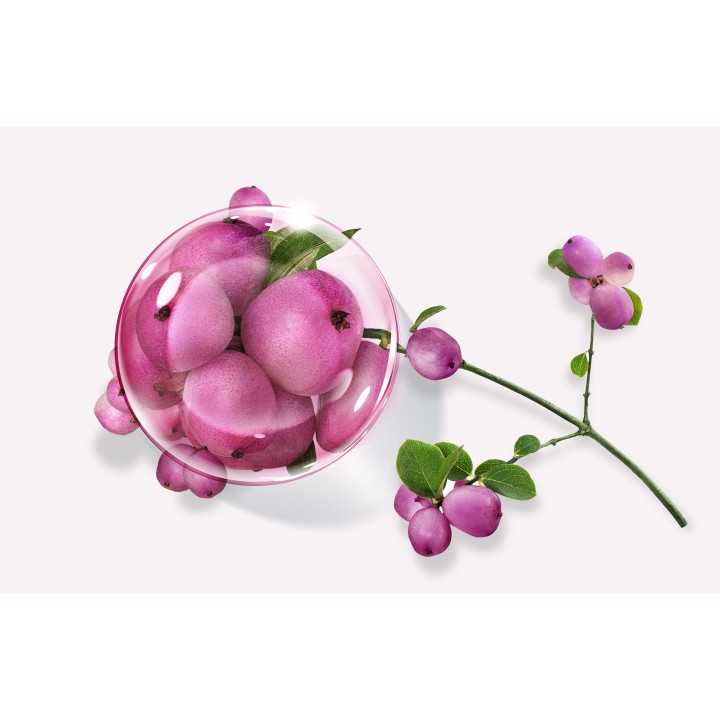 ULTRATIME Crème première anti-âge enrichie haute prévention - Annayake