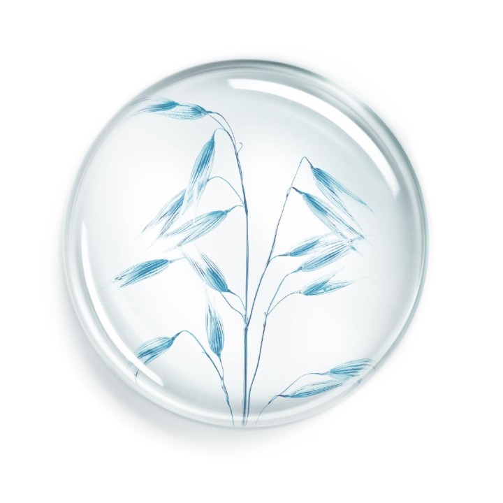 Annnayake - Soin corps hydratation continue nourrissant 24h