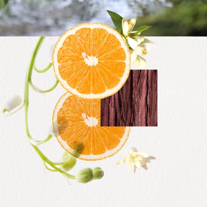 OMIZU for Her - Parfum Annayake