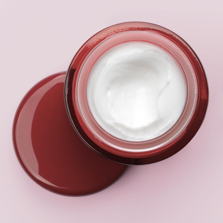 Anti-wrinkle re-densifying cream