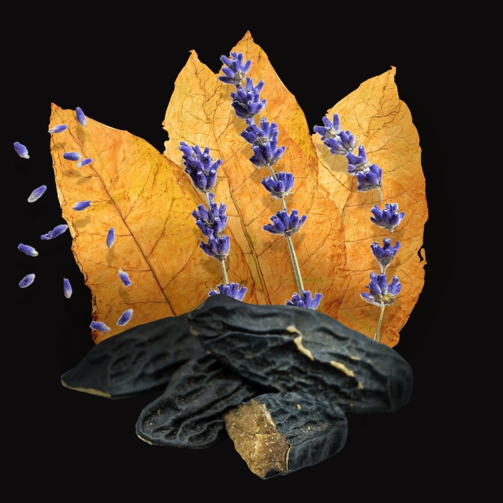 Parfum masculin TOMO - Annayake