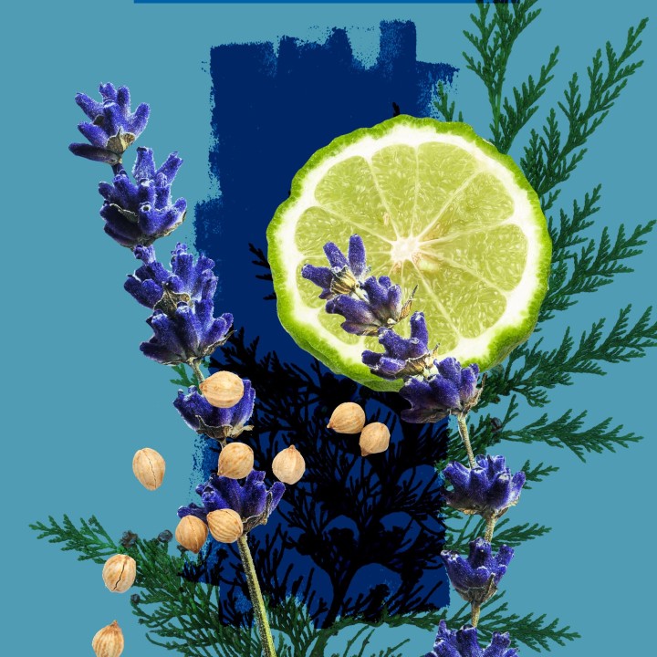 Parfum masculin UNDŌ - Annayake