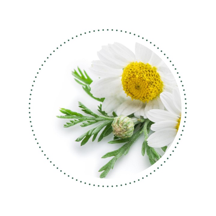 CLEANSKIN ritual - trio