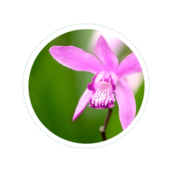 Rituel CLEANSKIN - trio