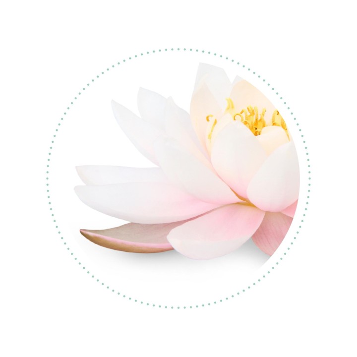 CLEANSKIN ritual - trio