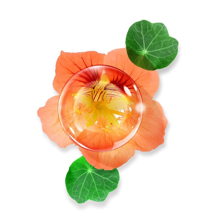 Annayake - ULTRATIME sérum perfecteur anti-rides